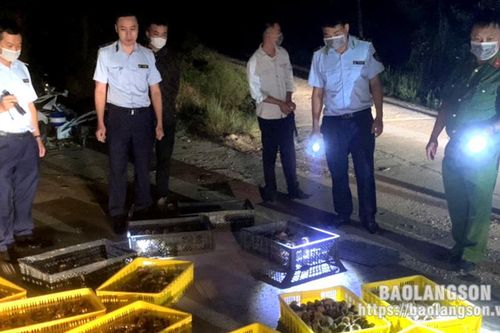 Ngăn gia cầm giống nhập lậu: Lộc Bình chặn từ xa, từ sớm