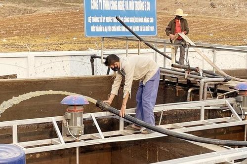 Sản xuất, kinh doanh gắn với bảo vệ môi trường