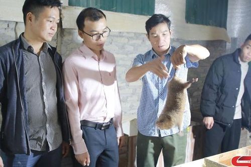 Giúp nhân dân tiếp cận chính sách tín dụng