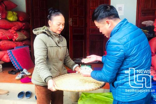 Đặc sản đậu Bình Long cần nguyên liệu là đỗ tương bản địa