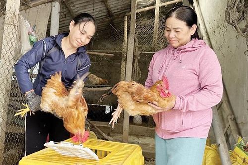 Chị Viễn vượt khó làm kinh tế giỏi