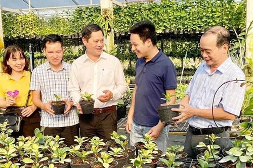 Thoát nghèo, làm giàu từ mô hình mới
