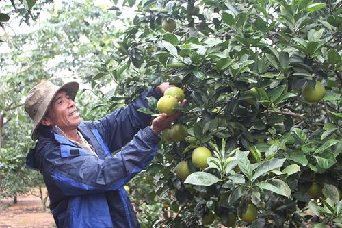 Bài 1: Tận dụng mọi lợi thế, huy động nhiều nguồn lực