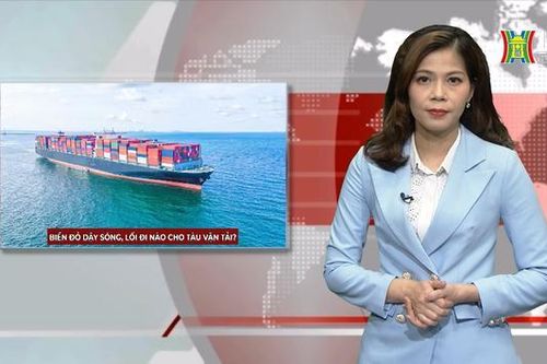 Biển Đỏ dậy sóng, lối đi nào cho tàu vận tải?| Nhìn ra thế giới | 14/03/2024