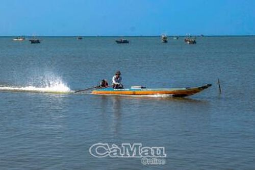Hồi sinh 'rừng vàng, biển bạc' - Bài 3: Hồi chuông cảnh báo