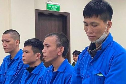 Lái xe bệnh viện lập đường dây mua bán bộ phận cơ thể người lĩnh án