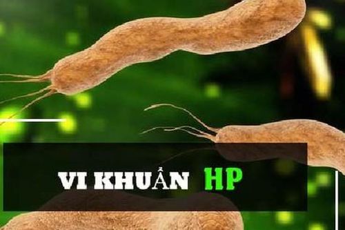 HP gây ung thư dạ dày, những điều cần biết về vi khuẩn này