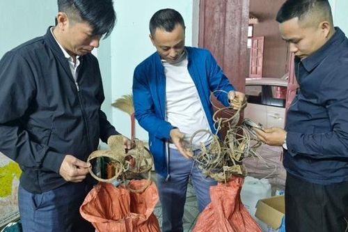 Hà Tĩnh: Quyết liệt gỡ bẫy thú rừng