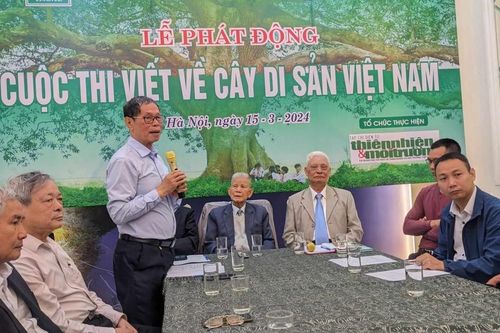 Bảo vệ cây di sản là bảo vệ giá trị cốt lõi của cuộc sống