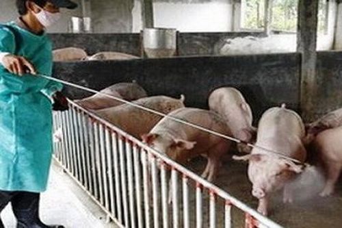 Đề xuất quy định mới về cơ chế, chính sách hỗ trợ phòng, chống dịch bệnh động vật
