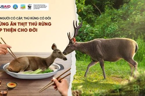 Phát động chiến dịch 'Ngừng ăn thịt thú rừng, góp thiện cho đời'