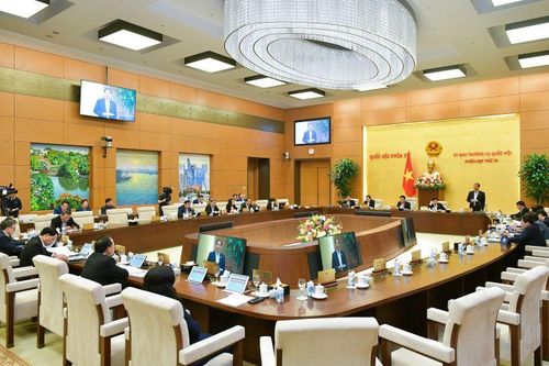 Đề nghị nghiên cứu mở rộng đấu giá biển số xe tải, xe khách, mô-tô
