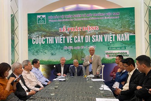 Phát động cuộc thi viết về Cây Di sản Việt Nam