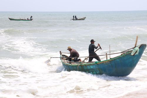 Mùa cào ốc ruốc ở bãi ngang Quảng Ngãi