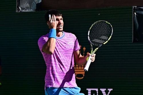 Tứ kết Indian Wells 2024 dừng gữa chừng do... ong đốt trọng tài