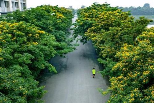 Ngồi nơi cửa nhà, nghĩ về hạnh phúc
