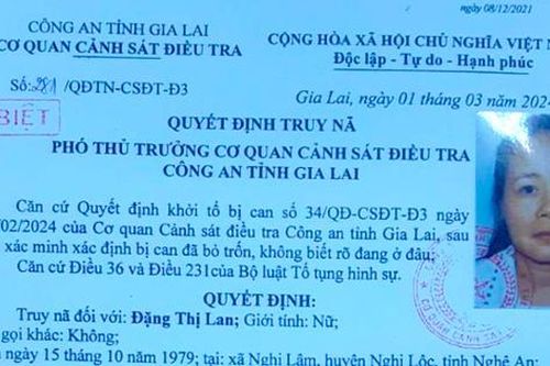 Lừa vay hơn 3,5 tỷ đồng để buôn đất rồi bỏ trốn