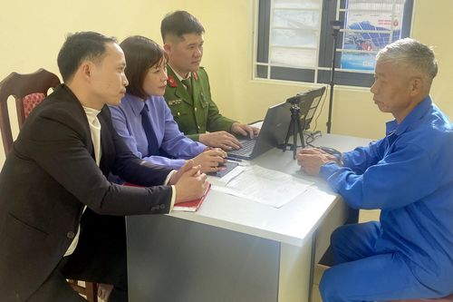 Bắt tạm giam người đàn ông lén trồng hơn 1.600 cây thuốc phiện