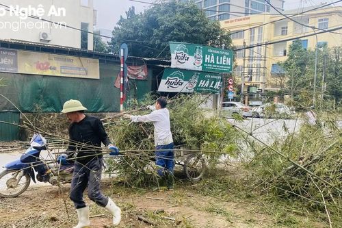Chính thức giải tỏa nút thắt cổ chai 'bụi tre' đường Hải Thượng Lãn Ông (TP.Vinh)
