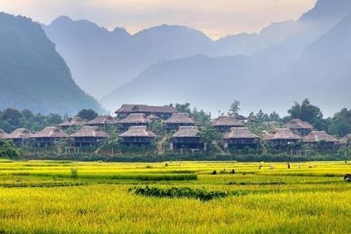 Mai Châu