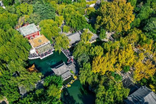 Công viên Báo Đột Tuyền - thắng cảnh nổi tiếng không thể bỏ qua tại Trung Quốc