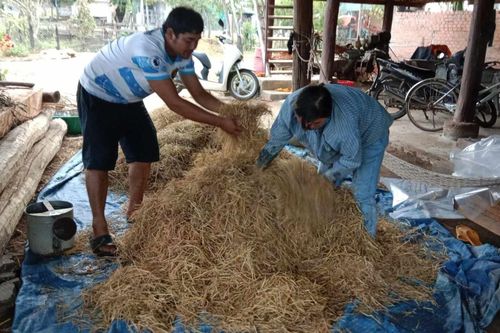 Làm giàu từ rác thải, góp phần bảo vệ môi trường