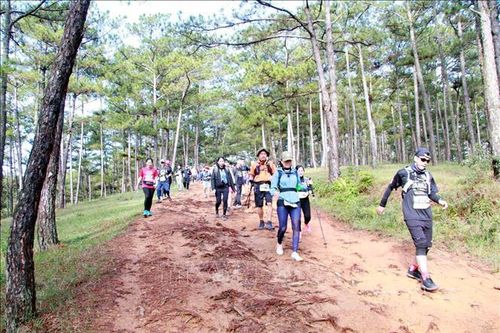 Trên 6.000 vận động viên tranh tài giải chạy băng rừng ở Lâm Đồng