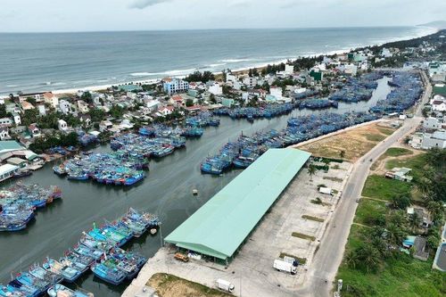 Bình Định: Sớm hoàn thiện thủ tục, xây khu trú bão cho tàu cá