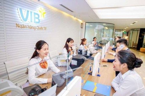VIB đặt mục tiêu lãi hơn 12.000 tỷ đồng, dự chia cổ tức 29,5% năm 2024