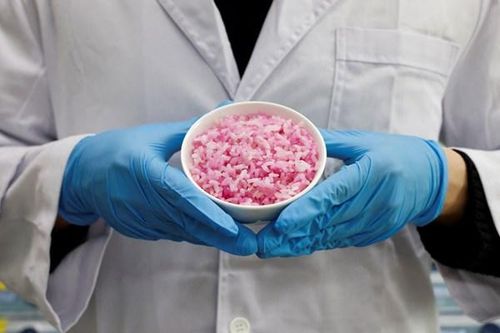 Hàn Quốc tạo ra 'cơm thịt bò' có khả năng cạnh tranh trên thị trường