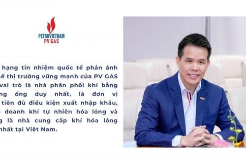 PV GAS duy trì xếp hạng tín nhiệm ở mức BB+: Triển vọng 'Ổn định'