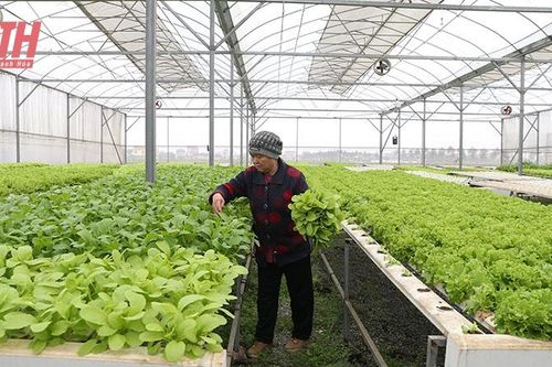 Nhân rộng sản xuất nông nghiệp hữu cơ