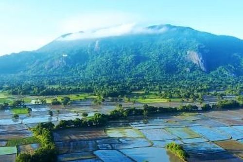 'Săn mây' ở Bảy Núi