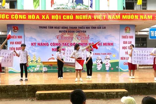 Hơn 300 đội viên tham gia ngày hội 'Kỹ năng công tác Đội'