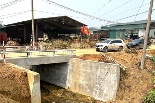 Cây cầu của tình hữu nghị Việt- Nhật