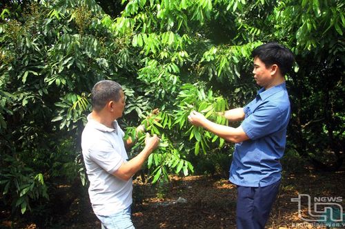 Những người bạn của bà con nông dân