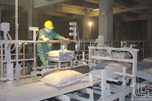 Thái Nguyên: Sản lượng sản xuất xi măng giảm 14,2%
