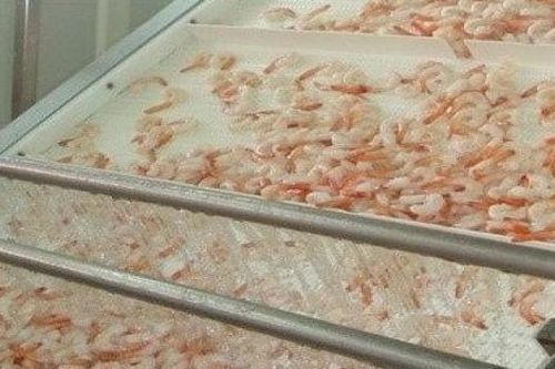 Công ty CP Đầu tư thương mại thủy sản: Cổ phiếu tăng vượt bậc trong khi doanh thu liên tục sụt giảm