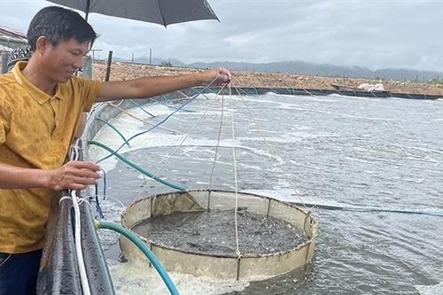 Bài cuối: Giúp hộ nghèo chủ động vươn lên