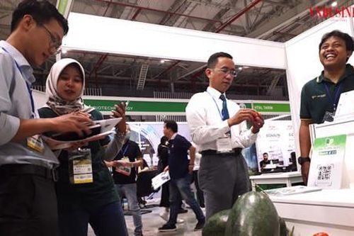 Doanh nghiệp Việt nên làm gì để xuất khẩu nông sản vào ASEAN có tăng trưởng đột phá?