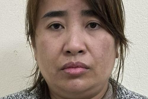 Nữ quái liên tục sinh con để hoãn thi hành án bị bắt khi trộm cắp