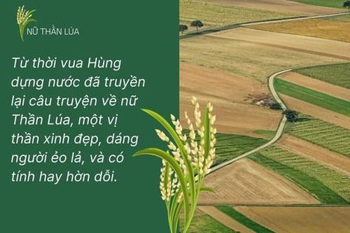 Thần thoại 'Nữ thần Lúa' vào đề thi học sinh giỏi Ngữ văn