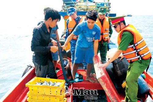 Hồi sinh 'rừng vàng, biển bạc' - Bài 4: Không thể chần chừ