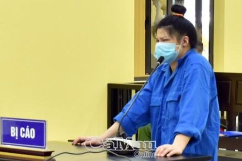 10 năm tù dành cho Việt kiều lừa đảo