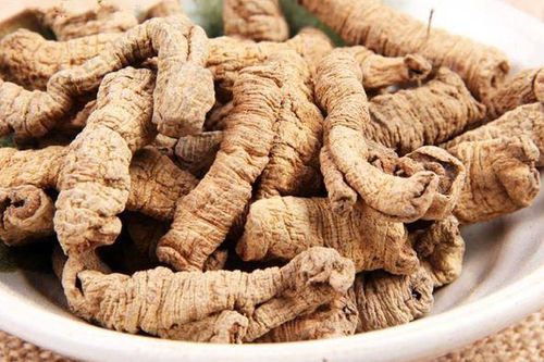 4 vị thuốc giúp tăng cường chức năng thận