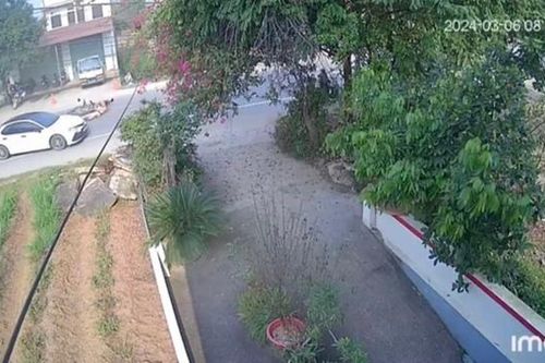 Khởi tố nam thanh niên đâm thẳng xe vào CSGT