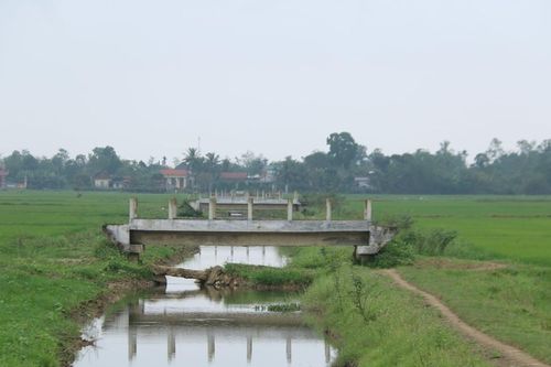 Gói thầu hơn 98 tỷ đồng chậm tiến độ