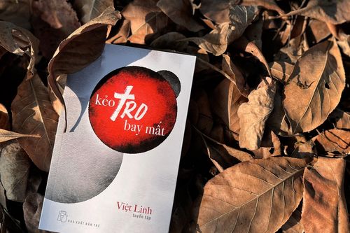 Cuộc sống lắng đọng nơi trang viết của đạo diễn Việt Linh