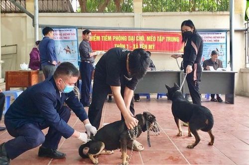 Chỉ đạo, điều hành của Chính phủ, Thủ tướng Chính phủ nổi bật tuần từ 11-15/3/2024