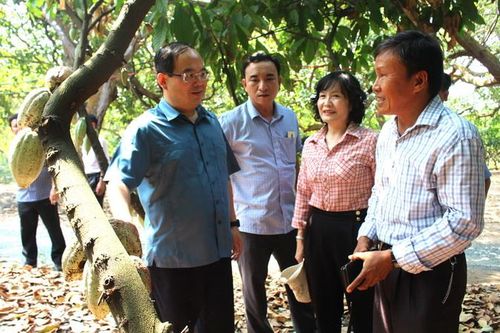 Huyện đầu tiên ở Đồng Nai đạt chuẩn nông thôn mới nâng cao